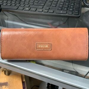 Fossil magnetic glasses case